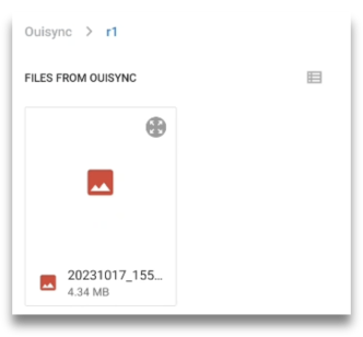 Browse files from Ouisync repository
